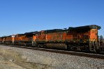 BNSF 4601 Roster shot